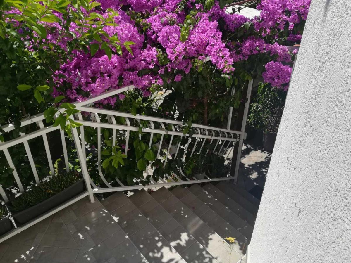 Dalmati House Hotel โบรดาริตซา ภายนอก รูปภาพ