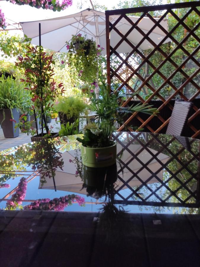 Dalmati House Hotel โบรดาริตซา ภายนอก รูปภาพ