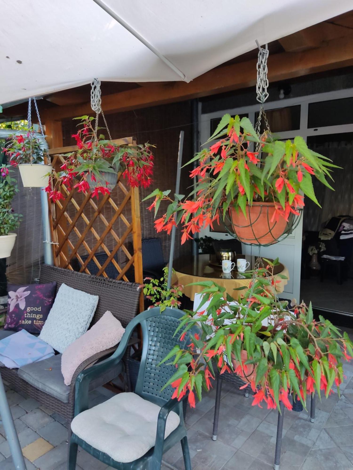 Dalmati House Hotel โบรดาริตซา ภายนอก รูปภาพ
